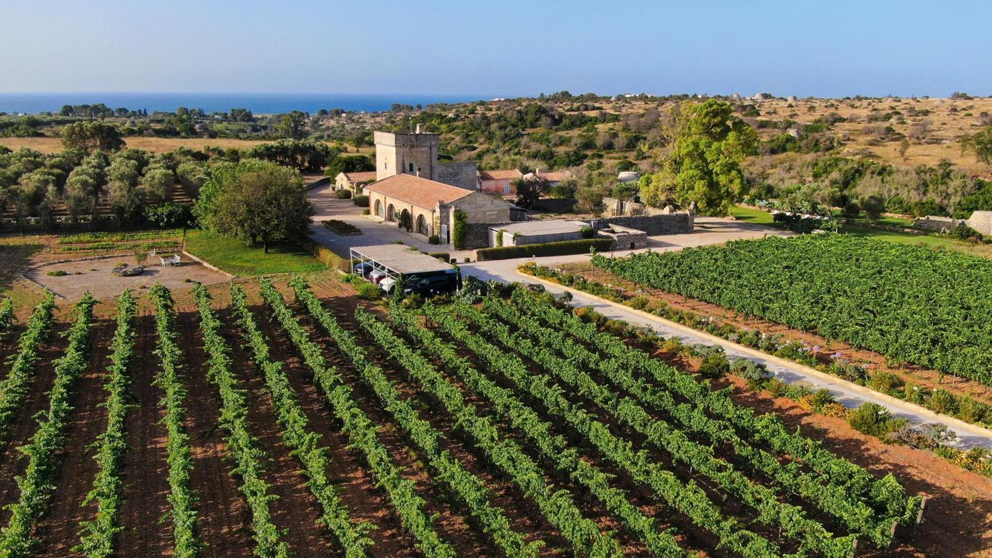 Masseria Fano Relais & Wine Salve Bagian luar foto