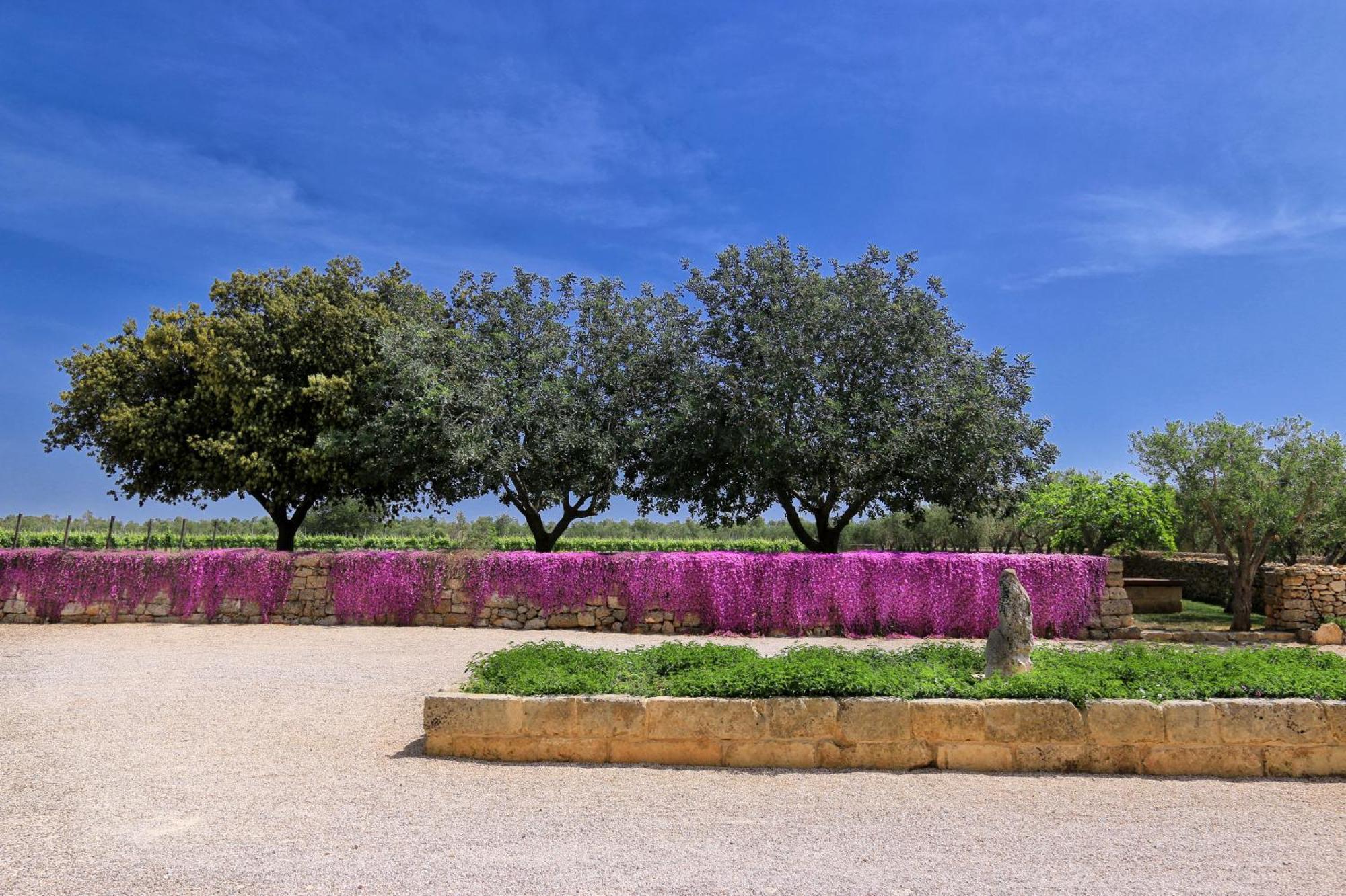 Masseria Fano Relais & Wine Salve Bagian luar foto